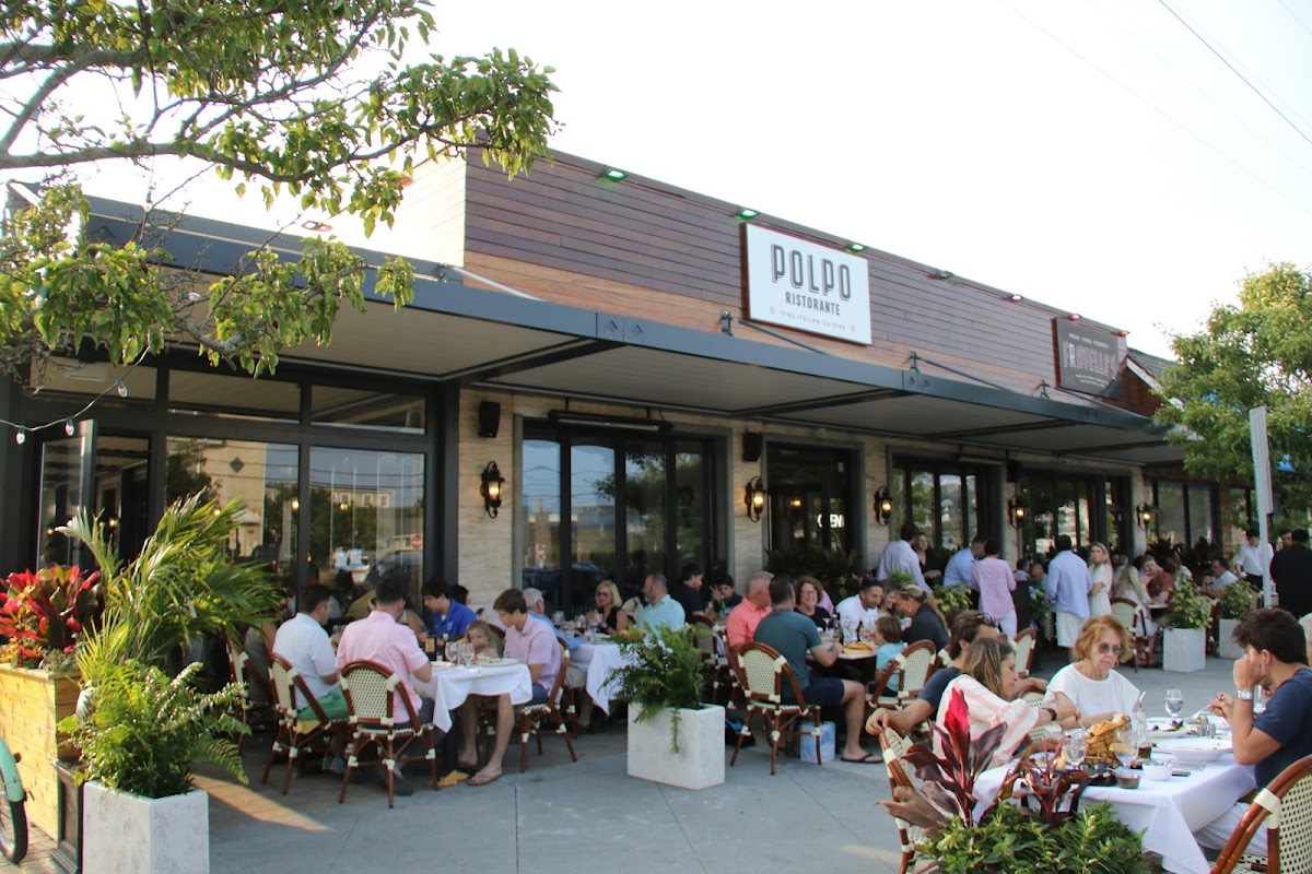Polpo Avalon